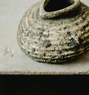 pexels-eva-bronzini-6944541