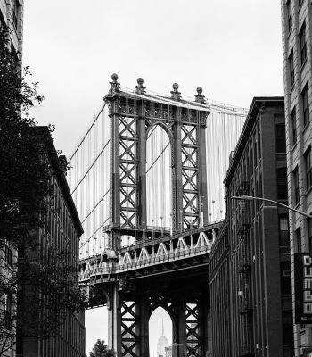 pexels-masonamccall-18614841